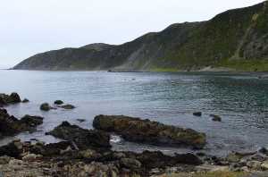 OWHIRO-BAY (21)